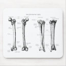 Search for human anatomy mousepads Bones