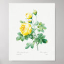 Search for floral posters Vintage