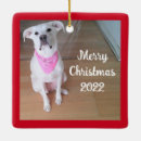 Search for cheerful christmas tree decorations Beautiful