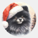 Search for pomeranian stickers Breed