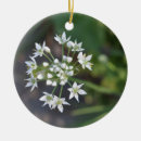 Search for nature christmas tree decorations Botanical