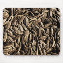 Search for sunflower seed Pattern