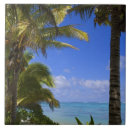 Search for cook tiles Ocean