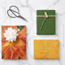 Search for solid orange wrapping paper Green