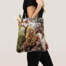 Search for morel bags Fungi