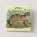 Search for wildcats badges Nature