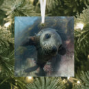 Search for baby seal christmas tree decorations Ocean