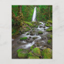 Search for columbia river gorge postcards Forest