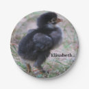 Search for chicken paper plates Animal