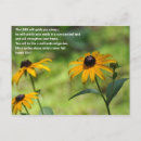 Search for satisfaction postcards Nature
