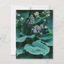 Search for hosta postcards Green