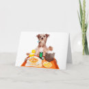 Search for sickness cards Animal