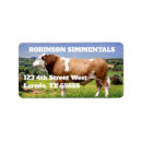 Search for bulls return address labels Farm