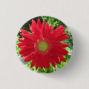 Search for pretty daisy badges Nature