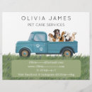 Search for dog walker flyers Animal care