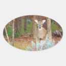 Search for white tail deer stickers Hunter