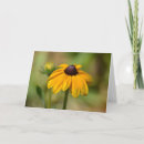 Search for susans cards Nature