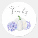 Search for team boy team girl stickers Watercolor