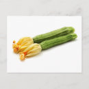 Search for zucchini postcards Squash