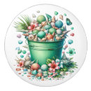 Search for seashells knobs and pulls Unique