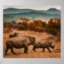 Search for rhino poster posters Safari