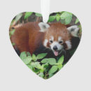 Search for red panda christmas tree decorations Funny