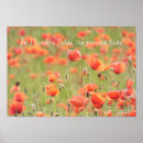 Search for flanders fields posters Red