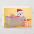 Search for container cards One animal