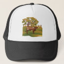 Search for longhorn hats Cow