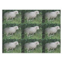 Search for sheep tablecloths Funny