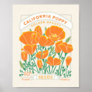 Search for california poppy art California state flower