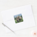 Search for black rhinoceros stickers Animal