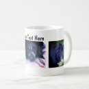 Search for border collie dog mugs Cute
