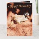 Search for meerkat birthday cards Funny