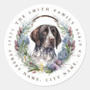 Search for german shorthair pointer stickers Puppy