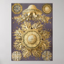 Search for jellyfish posters Retro