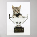 Search for internets art Kitten