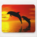 Search for jump mousepads Dolphin
