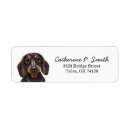 Search for dachshund dog return address labels Pet