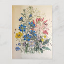 Search for flax postcards Vintage