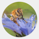 Search for honeybee stickers Floral