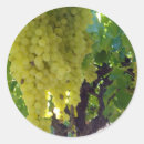 Search for grape vine stickers Fruit