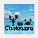 Search for crustaceans magnets Seafood
