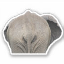 Search for elephant photo stickers Animal