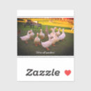 Search for bird scrapbook stickers Cute