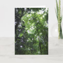 Search for forest walk cards Nature