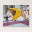 Search for bulldog puzzles Adorable