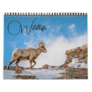 Search for wildlife calendars Wild animals