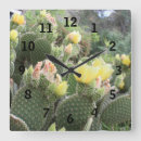 Search for sustainable clocks Flowers