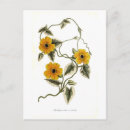 Search for happy birthday susan Botanical